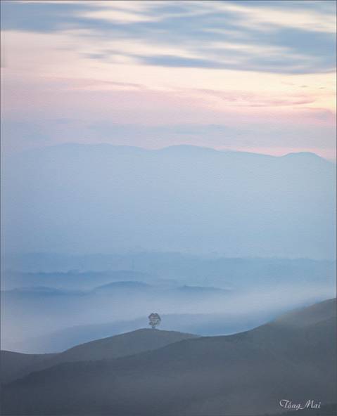 https://khungcuahep.com/wp-content/uploads/2025/06/TongMai-2025-VN-DaLat-1i-copy.jpg