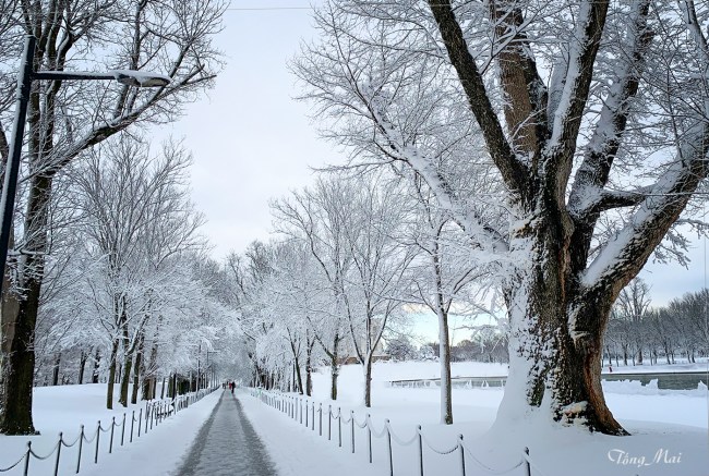 https://i1.wp.com/khungcuahep.com/wp-content/uploads/2022/01/TongMai-2022-DC-first-snow-8h-copy.jpg?resize=650%2C437&ssl=1