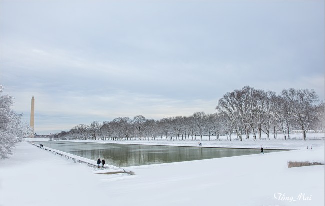 https://i0.wp.com/khungcuahep.com/wp-content/uploads/2022/01/TongMai-2022-DC-first-snow-6.jpg?resize=650%2C412&ssl=1