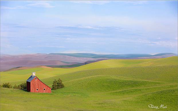 https://khungcuahep.com/wp-content/uploads/2023/06/TongMai-2023-Palouse-for-blog-9.jpg