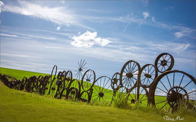 https://khungcuahep.com/wp-content/uploads/2023/06/TongMai-2023-Palouse-for-blog-9z8.jpg